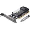 Lenovo Nvidia T1000 8 GB GDDR6 (NVIDIA T1000 8GB 4XMDP - GRAPHICS CARD)