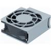 Synology FAN 80X80X32_7 sistema di raffreddamento per computer Ventilatore 8 cm (RS4017xs+, RS2818RP+ - FAN 80X80X32_7, Fan, 8