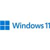 Microsoft Windows 11 Pro for Workstations 1 licenza/e (MS SB Windows 11 Pro for Workstations DE DVD)