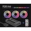 Delock Hub RGB per LED ARGB con 10 porte