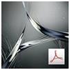 Adobe Systems ACROBAT STD DC TEAM VIP COM