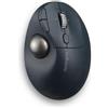 Mediamondo Kensington Pro Fit Ergo TB550 mouse Ufficio Mano destra RF senza fili + Bluetooth Trackball 1600 DPI