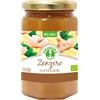 Probios Composta di zenzero con succo di mela 330 g BIO