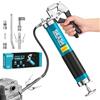 Seesii Ingrassatore Manuale 8000PSI, Pistola per Grasso Potenziata da 400cc | con Raccordo a Sgancio Rapido, Adattatore a 90°, Tubo Flessibile e Tubo Rigido per Autoveicoli, Trattori e Imbarcazioni
