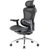 SIHOO Doro C300 Sedia Ufficio Ergonomica con Braccioli Ultra Morbidi in 3D, Supporto Lombare Dinamico per Sedia scrivania a Casa, Sedia da Scrivania con Schienale Regolabile,2 confezioni(Nero)
