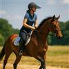 Genérico Visiera solare regolabile per casco equestre, protezione solare per equitazione, accessorio per casco da equitazione, protezione per la pioggia per equitazione, visore equitazione (medium)