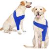 Katzinst Recovery Sleeve Cane, gomitiere per cani, tutore per gomito Protector, Cane Chirurgia Recupero Manica anteriore destra sinistra Gamba per Hot Spots, Ferite, Bende, Anti Leccare per cani, Blu XL