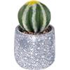 Villa d'Este Home Tivoli Piantina artificiale Cactus, vaso in cemento, Ø 9x15 cm