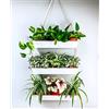 LáLáGreen LaLaGreen - Fioriera da parete da appendere, 40,6 cm, a tre livelli, per piante grasse da interni, moderna, in metallo, stile bohémien, decorazione verticale da appendere al giardino, grande per