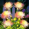 yowin Decorazione da Giardino Lampade Solari 2 Pezzi Lampade Solari per Esterno Giardino, IP65 Impermeabile Illuminazione Solare per Fiori da Giardino, Presa Solare per Esterno Balcone Vasi da Fiori