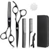 Lictin 4 in 1 Kit da 6.7 Forbici da parrucchiere professionali per taglio di capelli in acciaio inox con forbici da taglio, forbici da sfaldamento, pettine, clip e custodia per uomini e donne (nero)