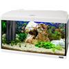 Hydor Acquario 60 Litri in Vetro per Pesci Tropicali o d'Acqua Dolce, Include: Lampada LED, Filtro Interno a 2 stadi per acqua cristallina, Riscaldatore, 60 x 31,5 x h 39,5 cm. Bianco