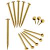 FUXXER 100 chiodi in ottone dorato, antiruggine, piccole unghie decorative, per mobili, fai da te, 20 x 2 mm