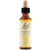 SCHWABE PHARMA ITALIA SRL Gentian Bach Orig 20 Ml