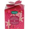 HP ITALIA Srl Neavita Cofanetto Rituali Botanici Infuso Fiore Armonia Dell'Anima 7 Filtroscrigno