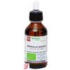 FITOMEDICAL SRL MIRTILLO ROSSO MACERATO GLICERICO 100 ML BIO