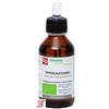 FITOMEDICAL SRL IPPOCASTANO MACERATO GLICERICO 100 ML BIO