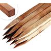 Circle of Trust, paletti da giardino in legno lunghi 30 cm per supporto piante e alberi (confezione da 10), in legno trattato a pressione, spessore 2,5 cm