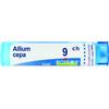 Allium cepa boi*9ch 80gr 4g - BOIRON - 047591084