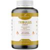 LAZARRAGA - Tribulus Terrestris 2250mg + Maca Peruviana + Arginina + Zinco integratore | 180 Capsules, Multivitaminico Uomo | Vitamine Uomo - 180 Capsule Vegane