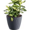 Prosperplast Vaso da fiori 2,3L Sandy P 16,8x16,8x15,7 cm, Antracite