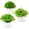 PASCH® Set di 3 mini piante artificiali come reali (13 cm) in vasi di ceramica bianca | Mini bosso artificiale | piante artificiali in vaso | Fake Plant | fiori artificiali in vaso | Pianta