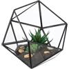 Relaxdays Terrario Piante, Mini Serra Vetro e Zinco, HLP 16x17x20 cm, Piantine Grasse e Muschi, Vaso Ecosistema, Nero