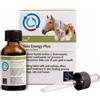 Camon AKIN ENERGY PLUS CROTON 20 ML