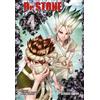 BOICHI Riichiro Inaga Dr. Stone 4: Verrückte Abenteuer, Action und (Tascabile)