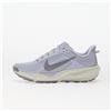 Nike Sneakers Nike Acg Pegasus Ghost/ Cement Grey-Mineral Slate