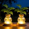 GBKDQQ 2 Pezzi Vaso Illuminato in Vetro, Stazione di Coltivazione Idroponica per Piante, Vaso per Fiori Stazione di Propagazione, LED Luminoso con Base in Legno 3 Livelli Regolabile per Decorazione da Tavolo
