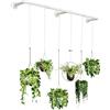 SOFITORG Fioriere da interni per piante da interno, con 6 catene sospese, asta per piante da parete per soffitto di finestre, 165 cm, metallo/bianco