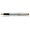 Parker Penna stilografica Parker Frontier Steel GT Gold Trim Ink convertitore pennin...