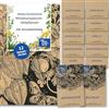 Magic Garden Seeds Piante medicinali dell'Europa centrale - set regalo di semi con 12 erbe tradizionali