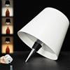 Neioaas Lampada wireless per bottiglia di vino, 3 colori, dimmerabile, in metallo, ricaricabile, impermeabile, con testa tattile, per casa, bar, campeggio, viaggi, ristoranti, feste, decorazioni e