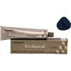 ALFAPARF MILANO Alfaparf Chemical Hair Dyes Evolution of The Color, 1.11 Blue Black, 2.05 Ounce by AlfaParf