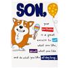 Hallmark Biglietto di compleanno per figlio, divertente, umorismo, design pop-up, illustrazione cane, bianco, marrone, blu