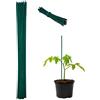 Relaxdays Set da 50 Bastoncini per Piante, Supporti per Rampicanti, Verdure, Ø 6mm, Fili da Legatura incl., 60cm, Verde