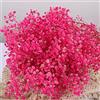 Skalago Bouquet di fiori secchi a velo essiccati - 2000 + fiori secchi rosa, 43 cm, rami gypsophila naturali per matrimoni, decorazioni per vasi da tavolo, decorazioni fai da te, decorazione per la casa,