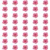 QUARKZMAN 40 Pezzi Fiori Pressati Essiccati, 0.24-0.31 Fiori Di Narciso Colorati Essiccati Pressati All'ingrosso Per Nail Art Resina Gioielli Candele Biglietti Scrapbook Cover, Rosso Rosa