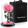 APKOL Rosa Stabilizzata Vera in Vetro, Rosa Eterna Realizzati con Rose Vere, Fiori Stabilizzati sotto Vetro a Cupola, Regalo Donna Compleanno, Regalo Mamma, Regalo Fidanzata, Moglie,Rosa