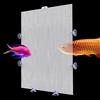 QoTang Separatore per acquario, 2 pezzi, 26 x 33 cm, griglia in plastica, per acquario, serbatoio e acquario, può essere tagliata, con 12 ventose