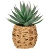 Hollyone Piante Grasse Artificiali in Cestino Intrecciato, Agave Artificiale Lucidato Shaka Zulu, Piante Artificiali per Decorazione della Casa, Scrivania da Ufficio, davanzale della Finestra, Bagno