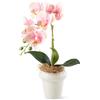 PASCH® Orchidee artificiali in vasi di ceramica lucida (46 cm), fiori artificiali in vaso, fiori artificiali come veri, orchidee artificiali in vaso (rosa)