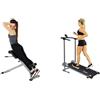 Sunny Health & Fitness Sunny Health and Fitness 45 Degree Hyperextension Roman Chair, Steel, Grey, One Size SF-BH6629 + Foldable and Compact Magnetic Rowing Machine, 130 KG Max, Durable Non-Electric Incline Exercise