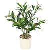 Flair Flower Albero di ulivo con olive nere in vaso artificiale, 46 cm, piccola pianta artificiale, albero d'olivo artificiale, albero decorativo, pianta d'ulivo, pianta decorativa per soggiorno, balcone, ufficio