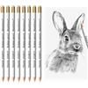 SSKHE 8 Pezzi Matita Con Gomma a Penna per Artista, Schizzi, Illustrazioni Colorate e Disegni a Carbone