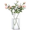Segus Vasi per Fiori in Acrilico, 12x30cm Vaso da Fiori in Acrilico Trasparente, Rettangolari, Infrangibili, Decorativo da Interno, per Matrimoni
