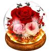 SOBEAU Rosa Eterna Stabilizzata, Vera Fiori Stabilizzati, LED Rosa Conservato Sfera di Cristallo, Regalo per Donne Mamma Moglie, Rosa Eterna Anniversario Compleanno San Valentino Natale Festa Della