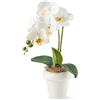 PASCH® Orchidee artificiali in vasi di ceramica lucida (46 cm), fiori artificiali in vaso, fiori artificiali come reali, orchidee artificiali in vaso (bianco)